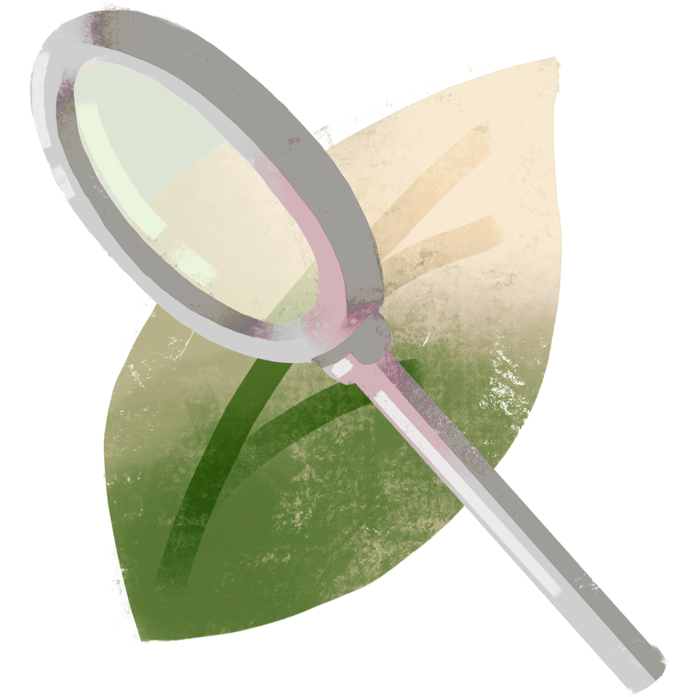 Pembelajaran Luar Kelas SMA HARMONI SCHOOL TERPADU BINTUNI